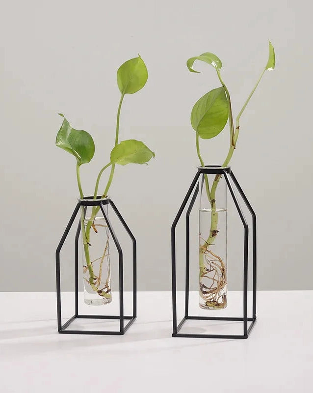 Black Hydroponic Vace