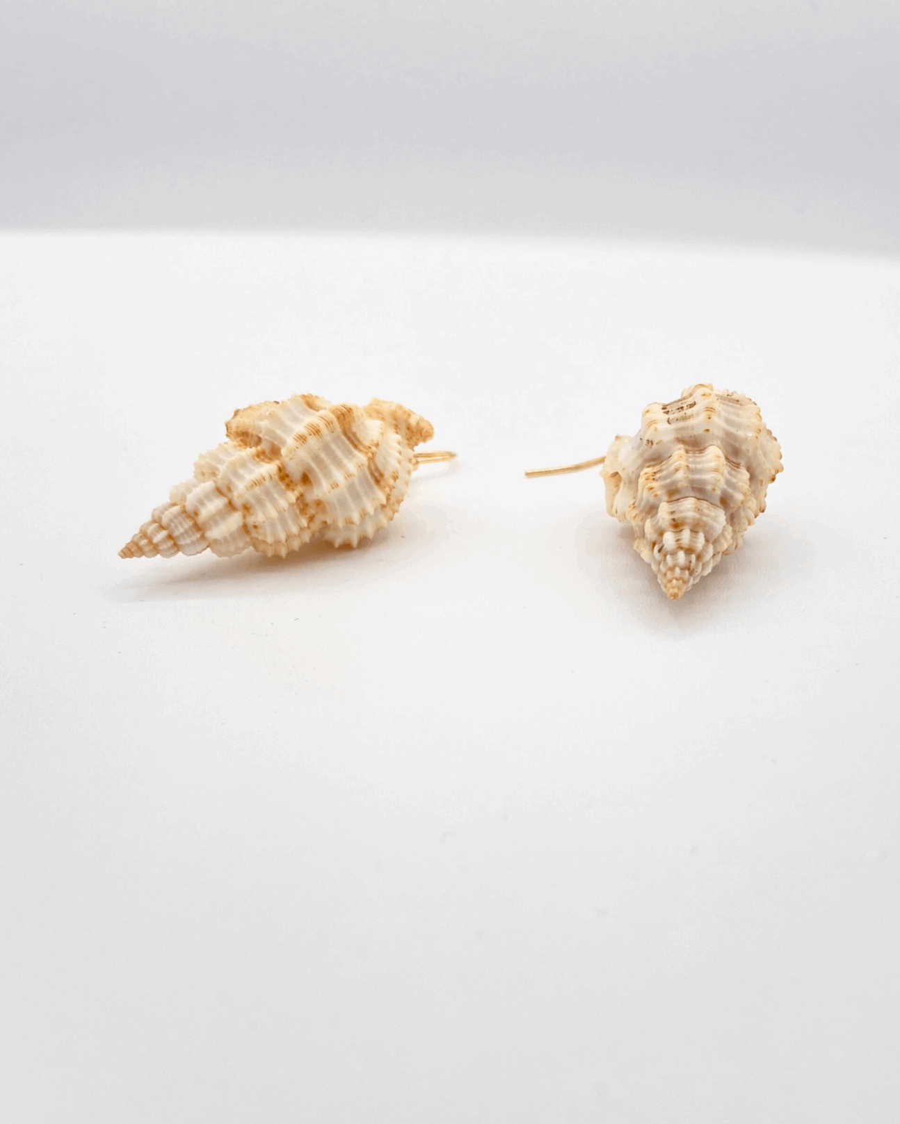 Large Seashell Hook Earring