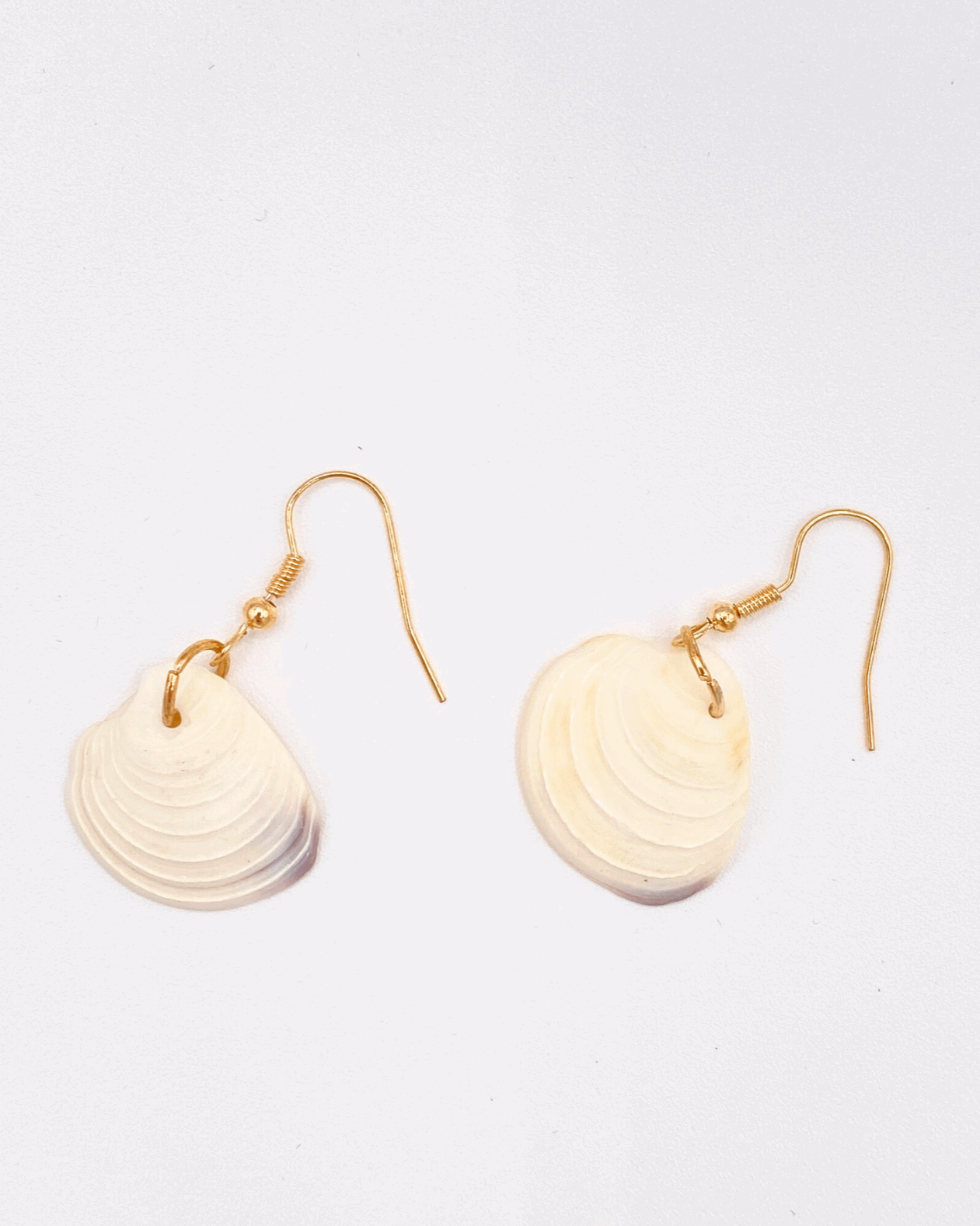 Oyster Shell Earrings
