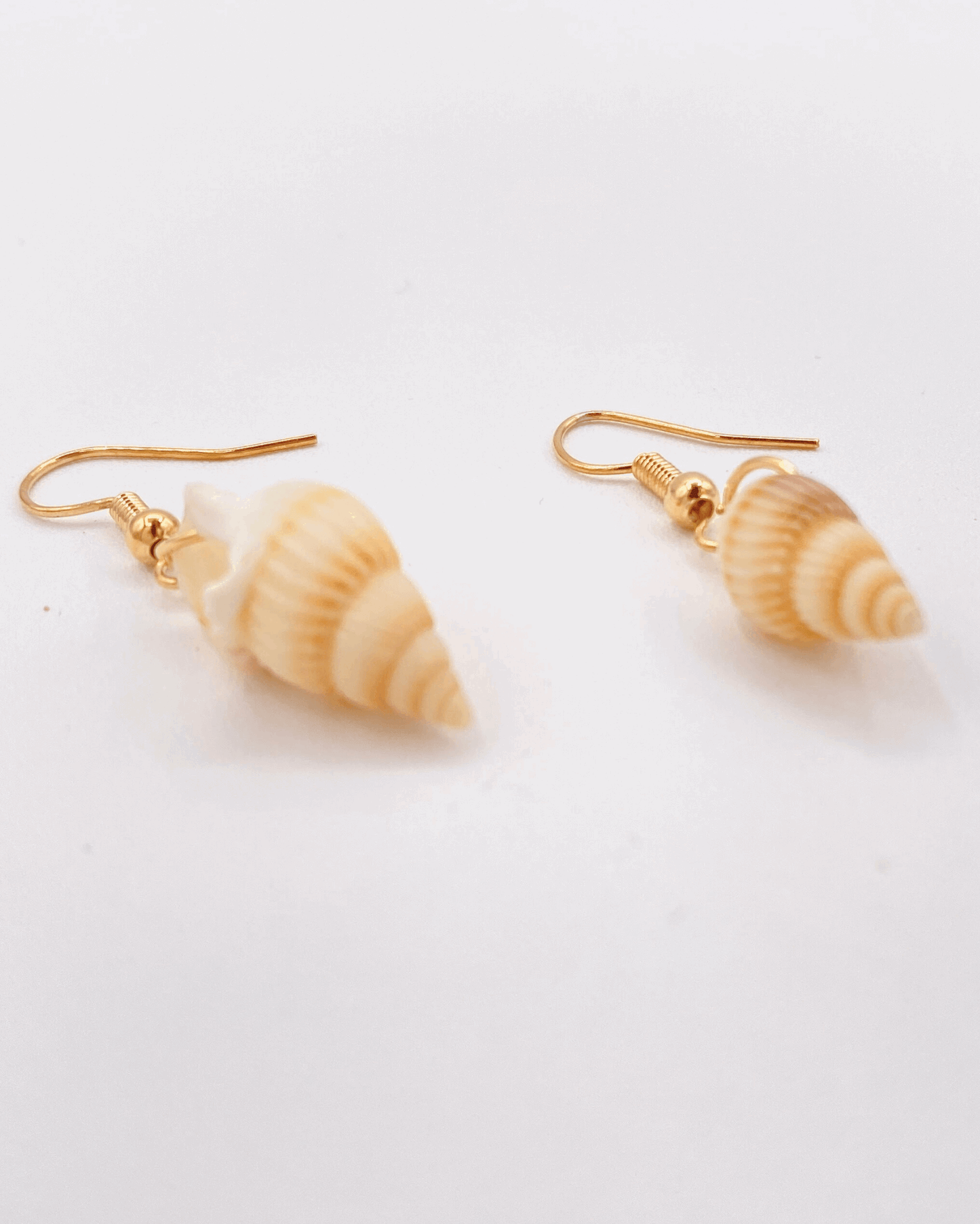 Small Seashell Earring