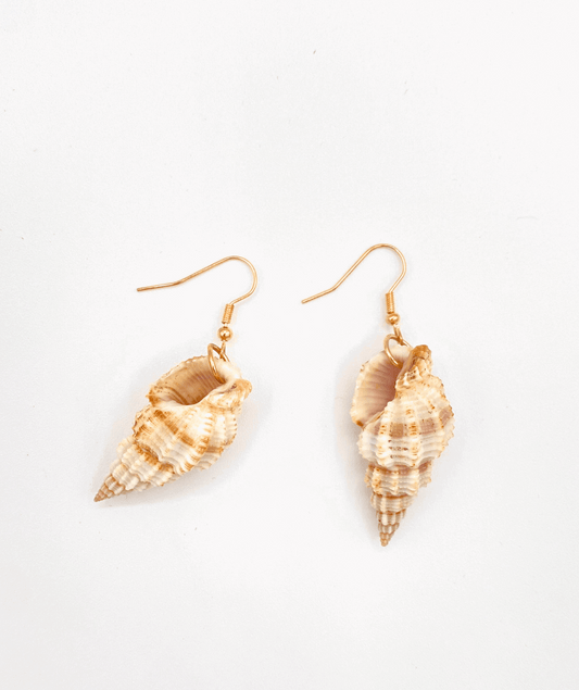 Large Seashell Hook Earring