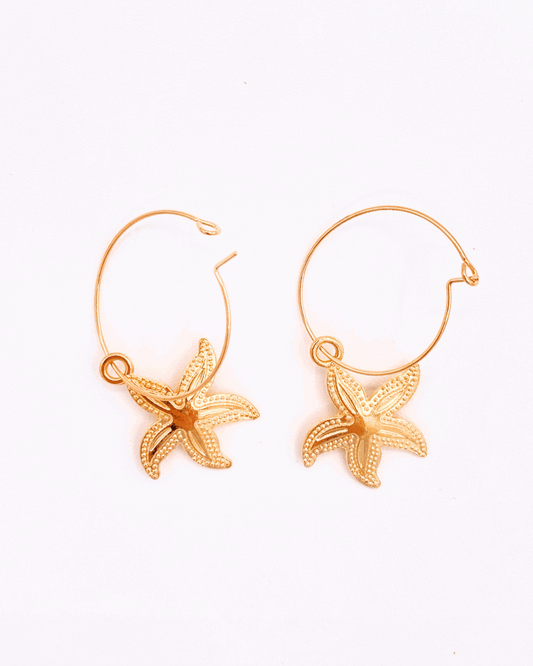 Starfish Earrings