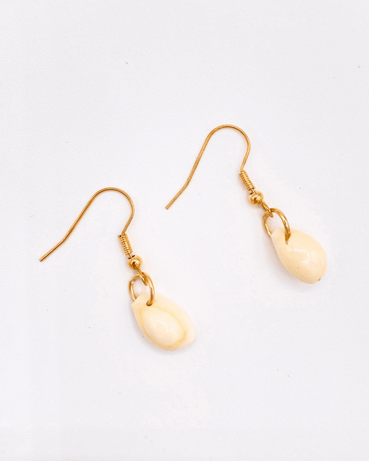 Coffee Bean Style Shell Earring