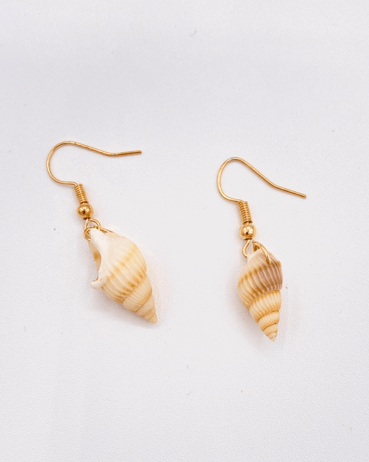 Small Seashell Earring